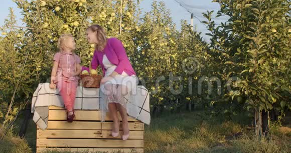 苹果园里妈妈和女儿坐在板条箱上的彩色镜头视频的预览图