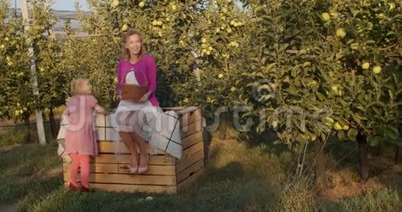 小女孩爬在板条箱上拥抱她的母亲后面是苹果树4K视频的预览图