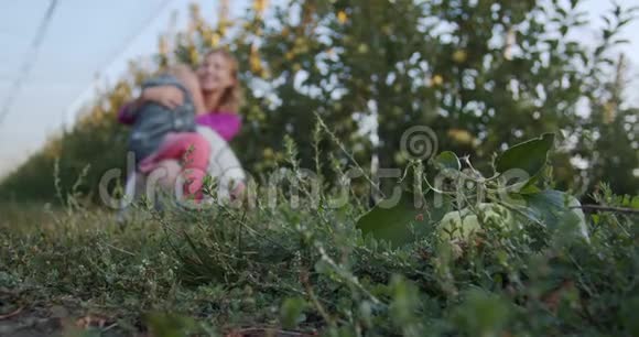 绿苹果在地上母女在背景上模糊4k视频的预览图