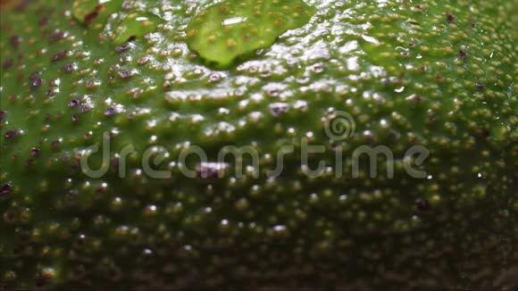 一滴水在一个新鲜的鳄梨上排水一个宏观的静态镜头青菜极致特写牛油果果皮素食视频的预览图