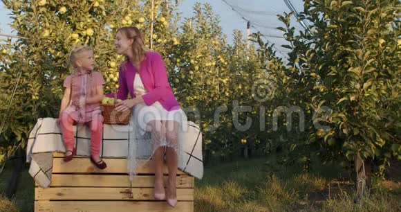 女儿亲吻妈妈的脸颊背景是苹果树4k视频的预览图