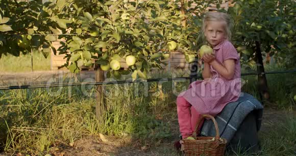 金发小女孩正坐在果园里和一个苹果接吻摆姿势视频的预览图