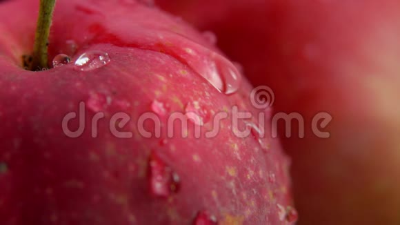 超级接近一个红色的苹果水滴从表面流下来视频的预览图