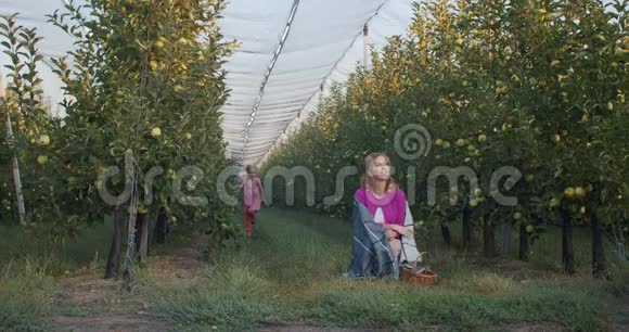 可爱的一家人在苹果园女儿正在摘苹果抱着妈妈视频的预览图