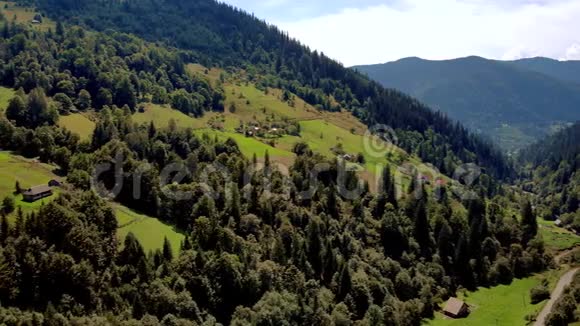 森林在绿色的山坡上鸟瞰视频的预览图