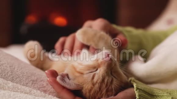 姜小猫喜欢在壁炉边爱抚和放松视频的预览图