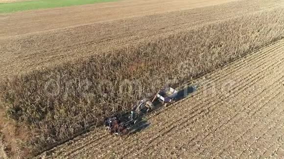 在一个阳光明媚的秋日一位阿米什农民用五匹马拉着收割机收割秋粮的鸟瞰图视频的预览图