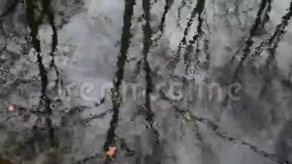 德国柏林佐洛西加滕一个多风的日子里树木在水中的抽象倒影视频的预览图