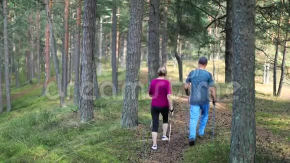 活跃的高年级学生在树林里做北欧漫步视频的预览图