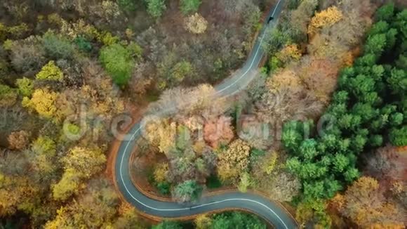在森林中通过弯曲道路的汽车的鸟瞰图秋天的高山视频的预览图