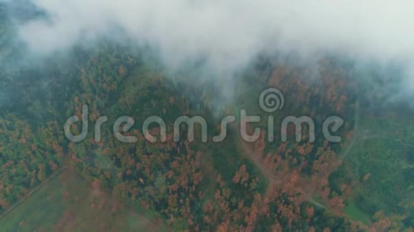 鸟瞰秋天的森林慢慢地被厚厚的云层覆盖在白色的毯子上视频的预览图
