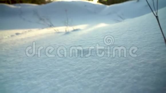 有人在雪地里脚印在一片白雪皑皑的草地上活动视频的预览图