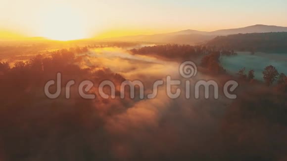 在浓雾中向森林和山谷前进夏天的太阳耀斑视频的预览图