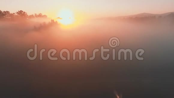 透过浓雾在田野和森林中向太阳飞去视频的预览图