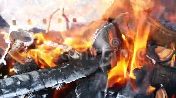 特写柴火和煤烧在壁炉里视频的预览图