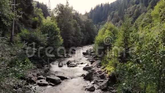 喀尔巴阡山森林中的山地河流视频的预览图