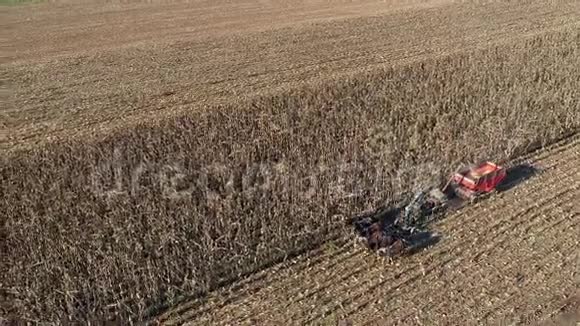一位五匹马拉动收割机收割秋玉米的阿米什农民的鸟瞰图视频的预览图