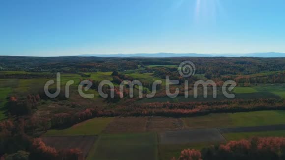 蓝天和金色十月景观在美好的秋日上景视频的预览图