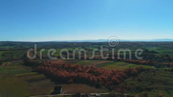 蓝天和金色十月景观在美好的秋日上景视频的预览图