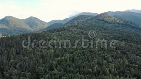 喀尔巴阡山针叶林景观视频的预览图