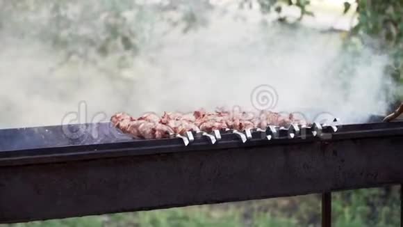 烤架上煮肉的过程带着烤串和烟的小丑野餐慢动作视频的预览图