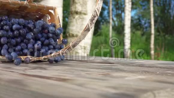 满是大蓝莓的桦树篮落在木桌上视频的预览图