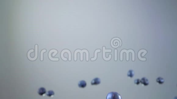 美味可口的蓝莓在白色背景上飞舞视频的预览图