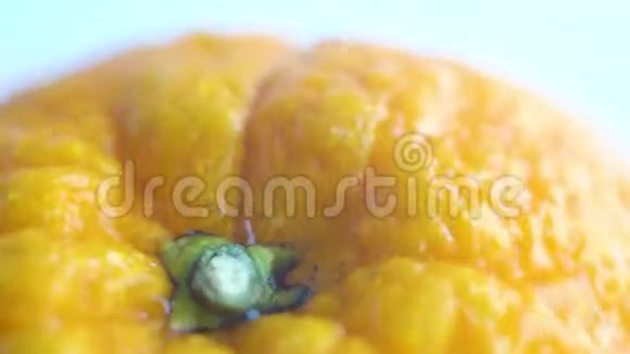 一粒橘子极端的特写与橙色果盘橙皮的细节与毛孔可见王室视频的预览图
