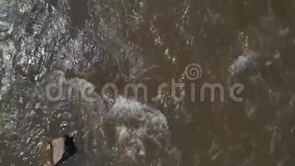 河流在石头上缓慢流动视频的预览图