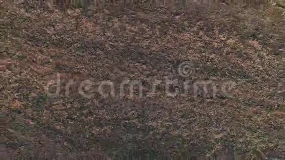 直接向下的视野在一个耕田播种无人机飞行和棕色土壤模式打开视频的预览图