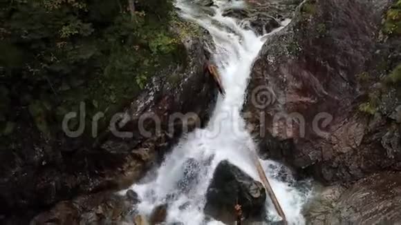 山河流淌在绿林附近在乌克兰性质的喀尔巴阡山脉旅行视频的预览图