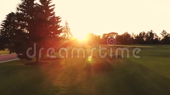 回到草地上看着明亮的黄昏太阳视频的预览图