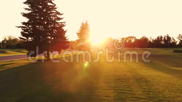 穿过短草走向傍晚的太阳视频的预览图