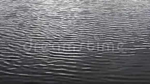 在水上荡漾时尚对比的水背景视频的预览图