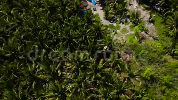 棕榈树和绿松石水在热带岛屿上俯视风景视频的预览图