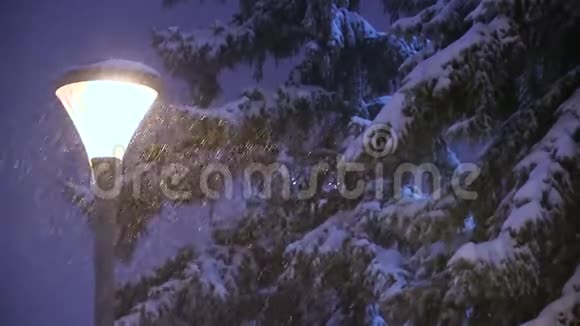 冬天雪落在雪堆上的云杉树和路灯上视频的预览图