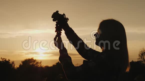 一个成功的女农民钦佩他的劳动成果她站在日落时分的葡萄旁视频的预览图