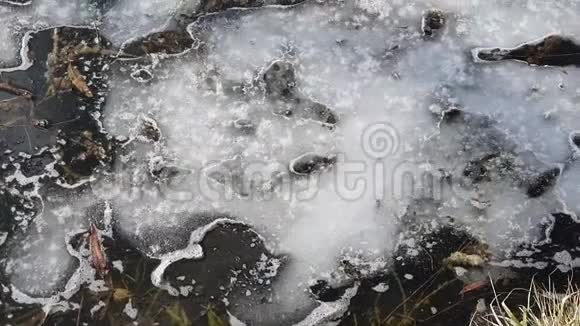 冰在水上的时尚对比水背景与冰块和碎片在解冻期间视频的预览图