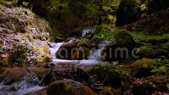 沿着山河溪流的绿色和潮湿的石头和岩石有许多弯曲的瀑布和瀑布被前面的绿色植物包围着视频的预览图