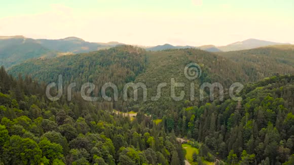 针叶林和山脉景观视频的预览图