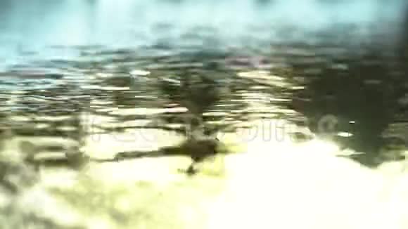 灯光眩光照在水面上涟漪照在水面上阳光照在水面上视频的预览图