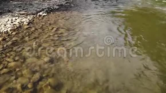 山浅河水清澈石质清澈视频的预览图