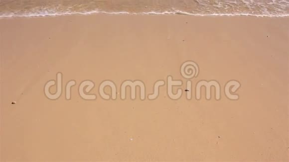 沙滩冲浪视频的预览图
