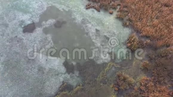 枯黄的芦苇岸边一片冰封的湖面秋天的景色无人机的视野视频的预览图