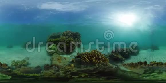 珊瑚礁和热带鱼水下360VR菲律宾Camiguin视频的预览图