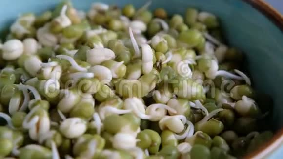 绿豆的芽或幼苗放在碗里特写素食和健康饮食视频的预览图