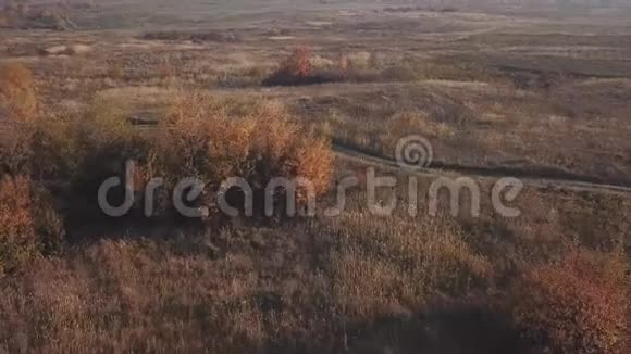 秋天的草坪从一个高度视频的预览图