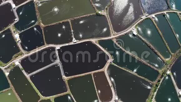 鸟瞰鱼场和海岸台湾视频的预览图