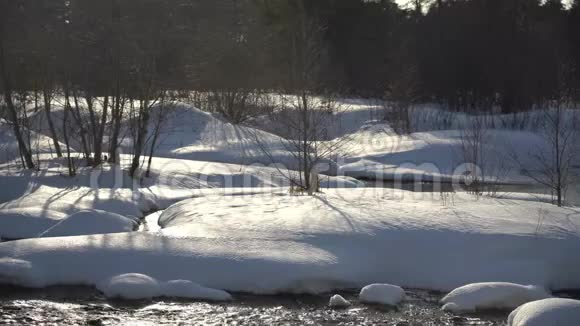 森林中白色雪堆中的一条快河视频的预览图