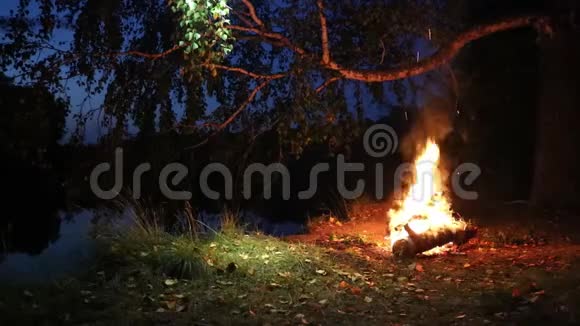晚上森林里河边篝火浪漫的夜晚视频的预览图